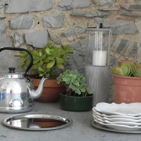 Country house Di Terramare Rosignano Marittimo